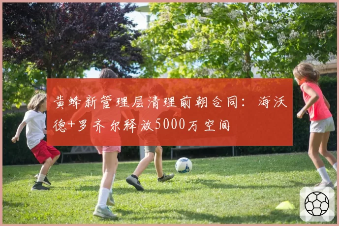 黄蜂新管理层清理前朝合同：海沃德+罗齐尔释放5000万空间