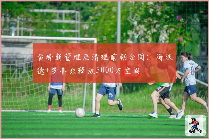 黄蜂新管理层清理前朝合同：海沃德+罗齐尔释放5000万空间