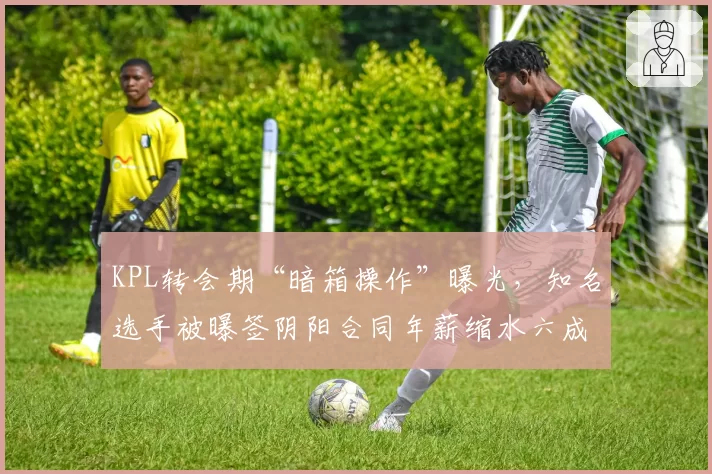 KPL转会期“暗箱操作”曝光,知名选手被曝签阴阳合同年薪缩水六成